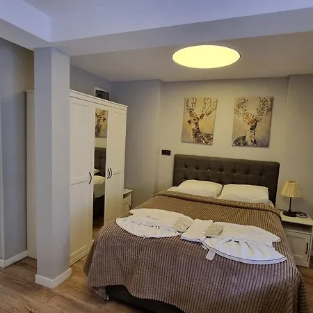 Vesta Butik Hotel Istanbulská provincie