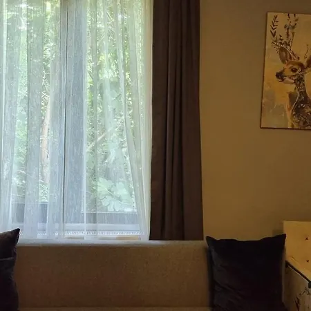 Vesta Butik ホテル 4*