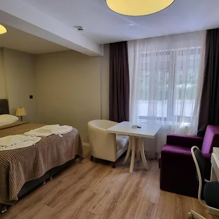 Vesta Butik Hotel Istanbulská provincie