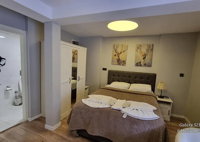 Vesta Butik Szálloda Isztambul